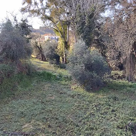 Apartamento Tzafi 1 *